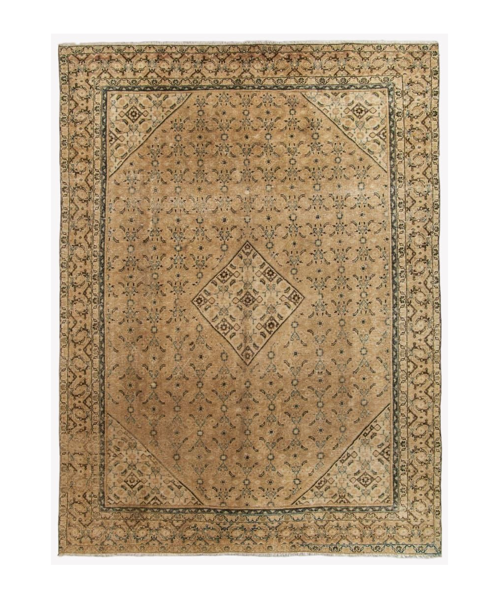 Light beige Persian-style rug with geometric medallion and blue border details.