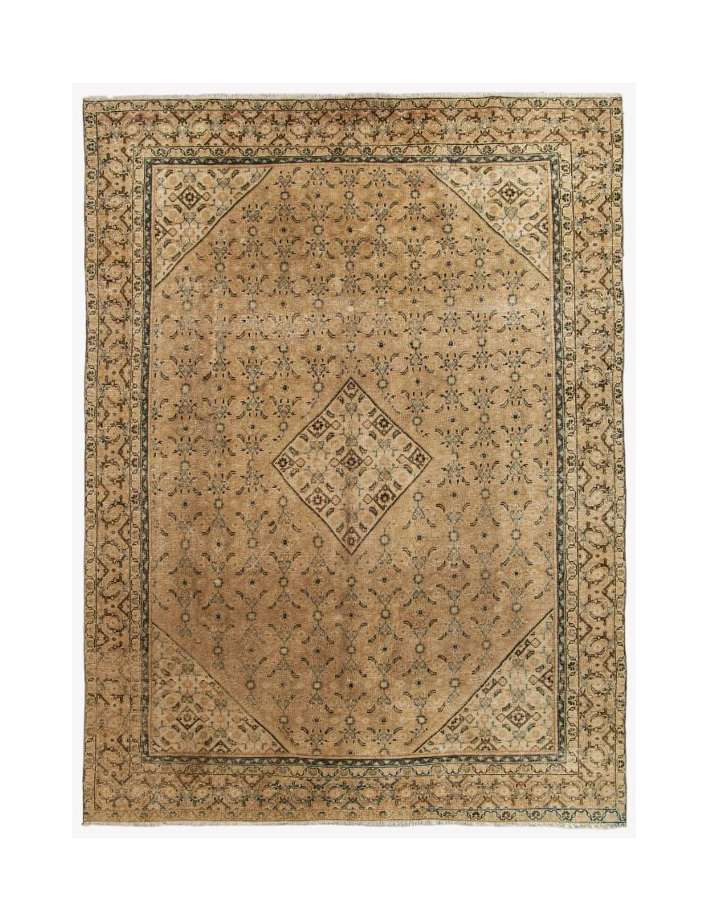 Light beige Persian-style rug with geometric medallion and blue border details.