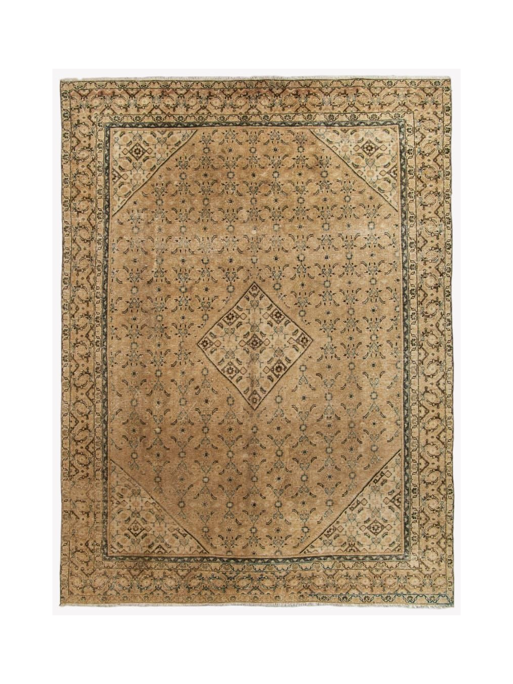 Light beige Persian-style rug with geometric medallion and blue border details.