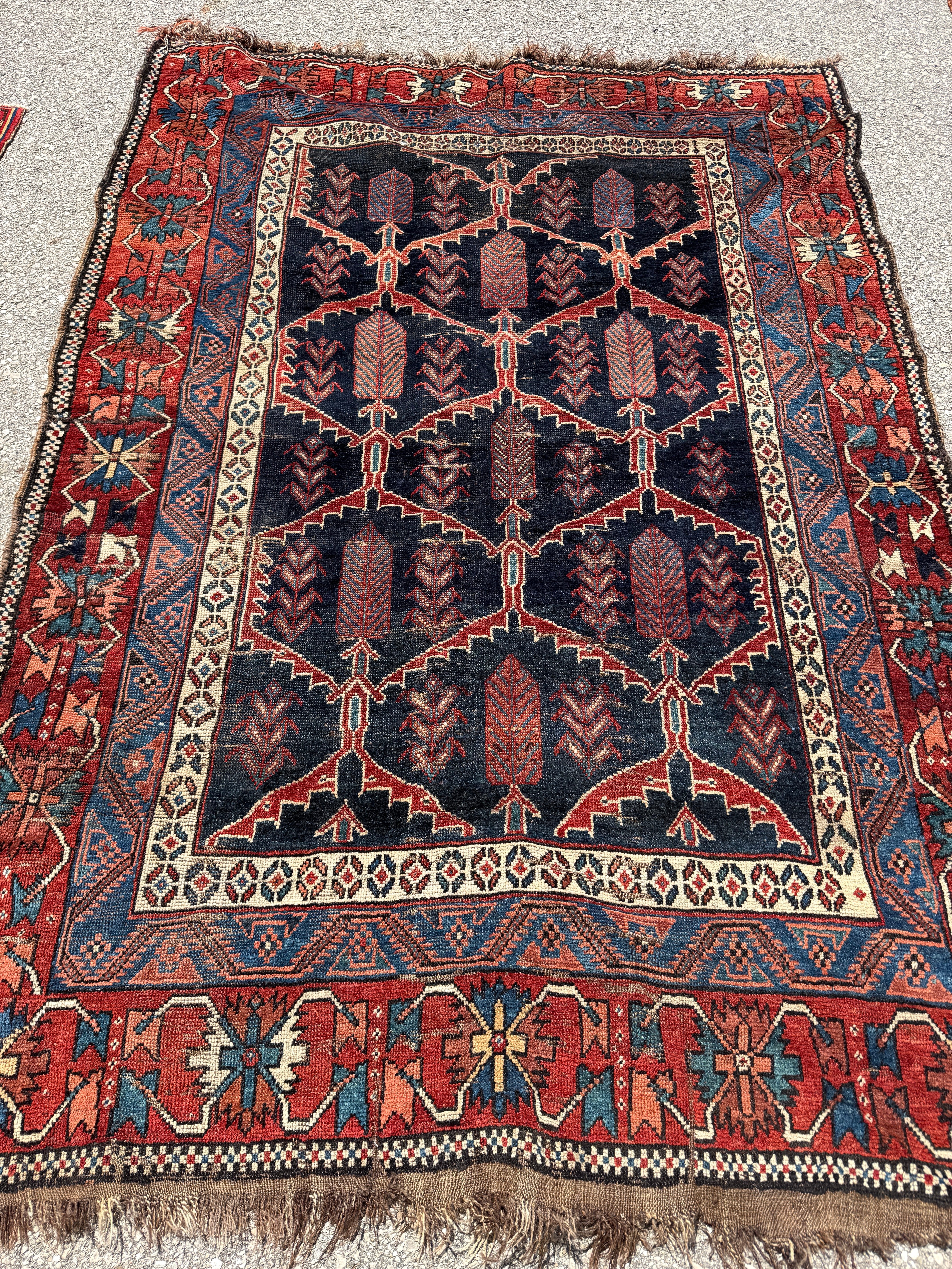 Antique Bakhtiari Rug — Cypress Lattice on Midnight Blue. Additional original photograph showing the rug's surface, design and weave. SKU 2058.