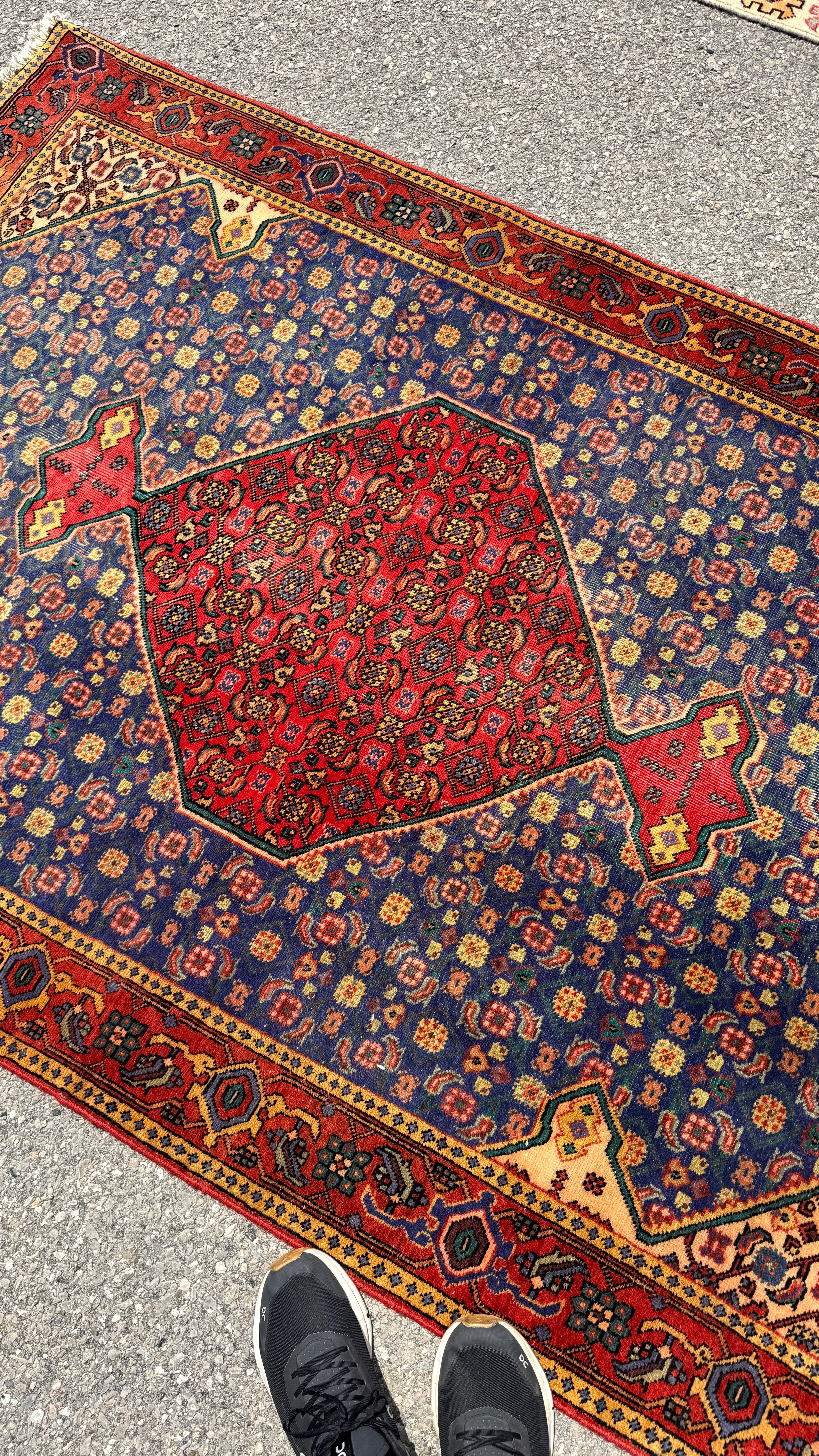 Vintage Ardabil Rug — Cornflower Blue & Ruby Mahi. Additional original photograph showing the rug's surface, design and weave. SKU 52403027.