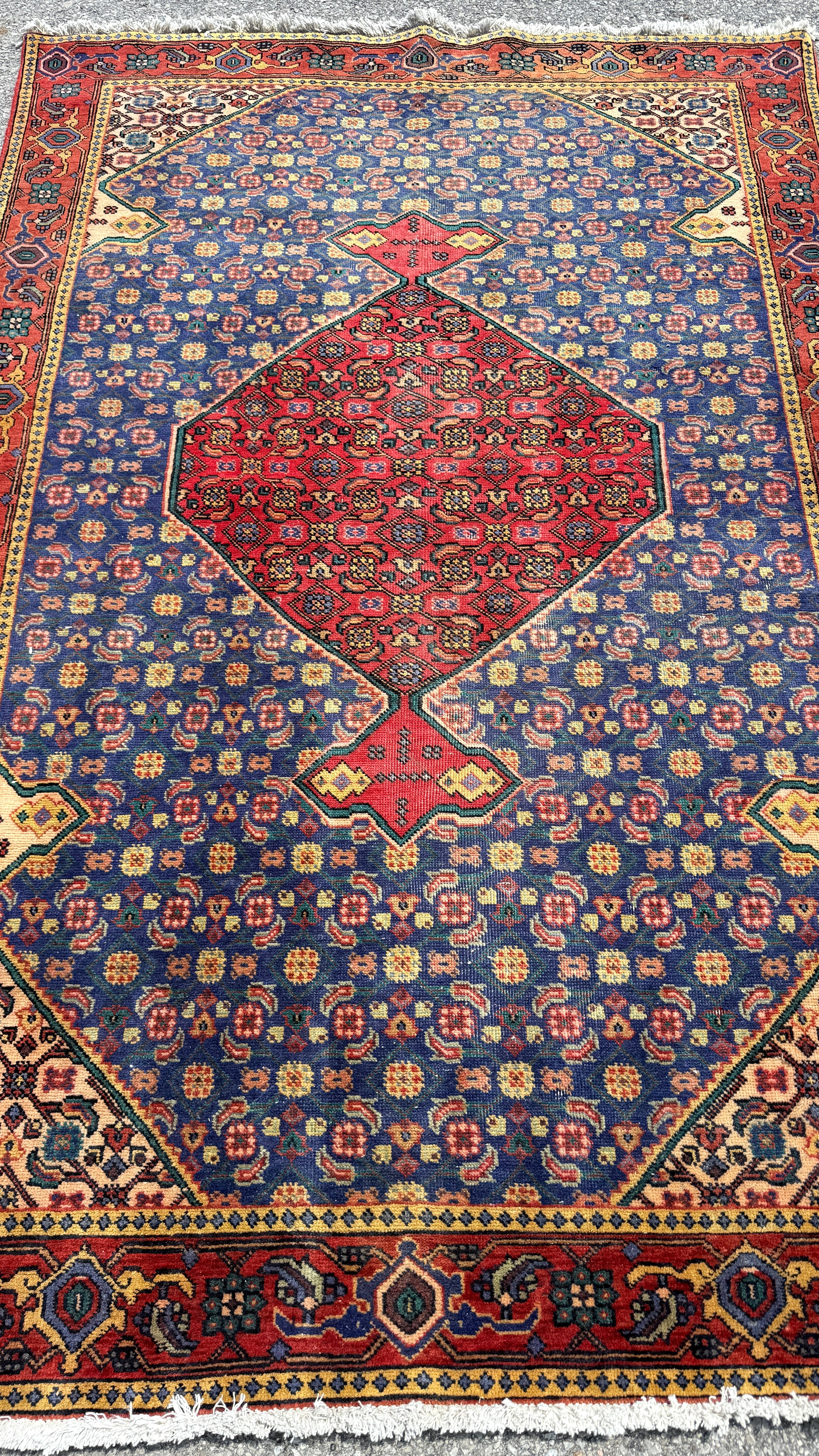Vintage Ardabil Rug — Cornflower Blue & Ruby Mahi. Additional original photograph showing the rug's surface, design and weave. SKU 52403027.