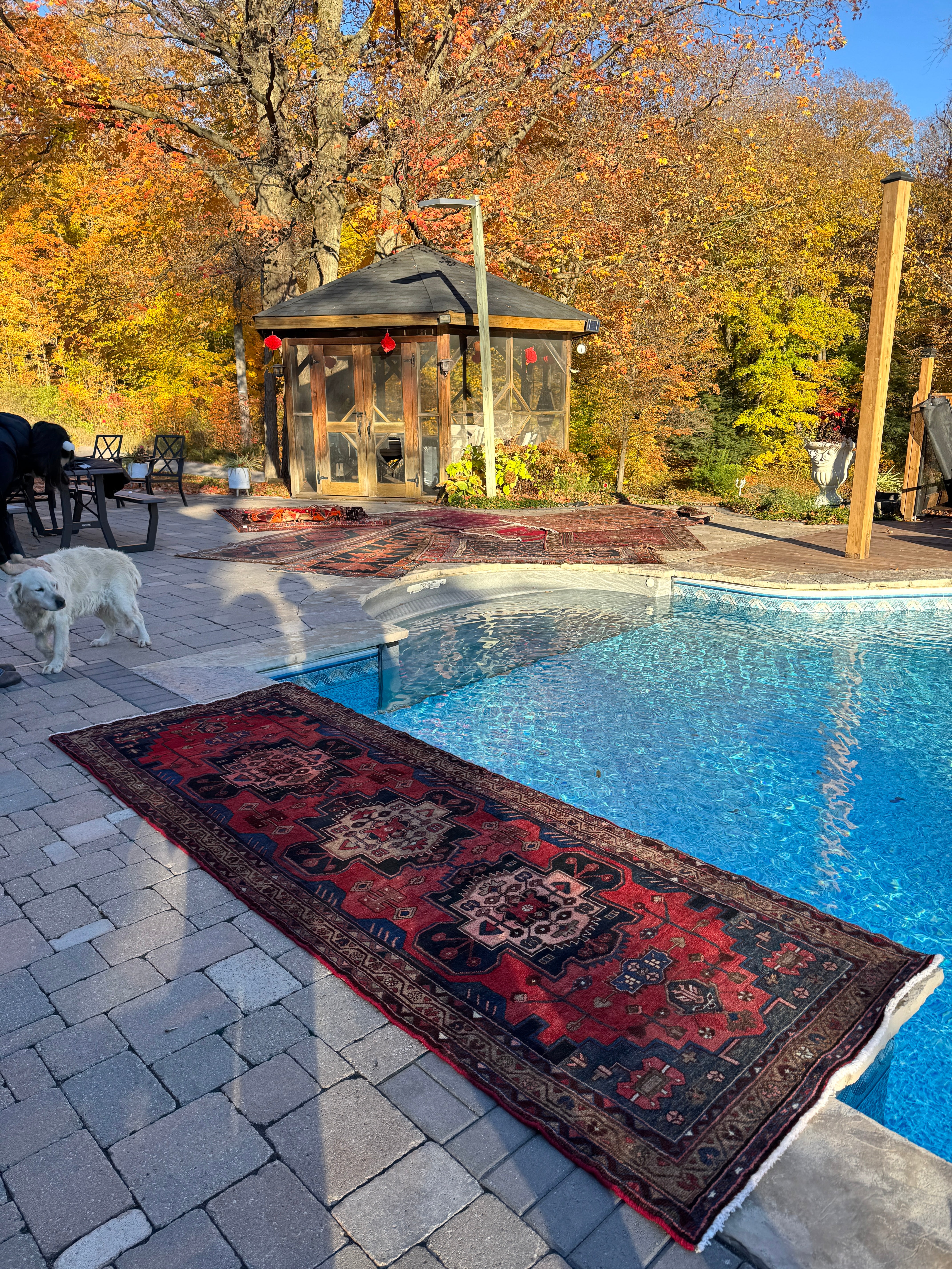 Hamadan Runner — Scarlet & Ivory Star Medallions. Additional original photograph showing the rug's surface, design and weave. SKU 52507096.