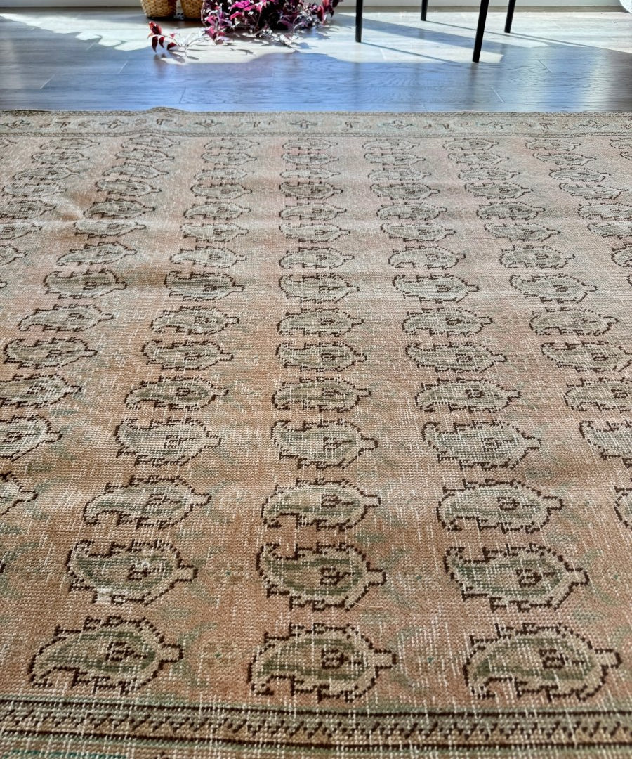 Large beige paisley rug with repeating medallions, light teal accents, and bordered edge