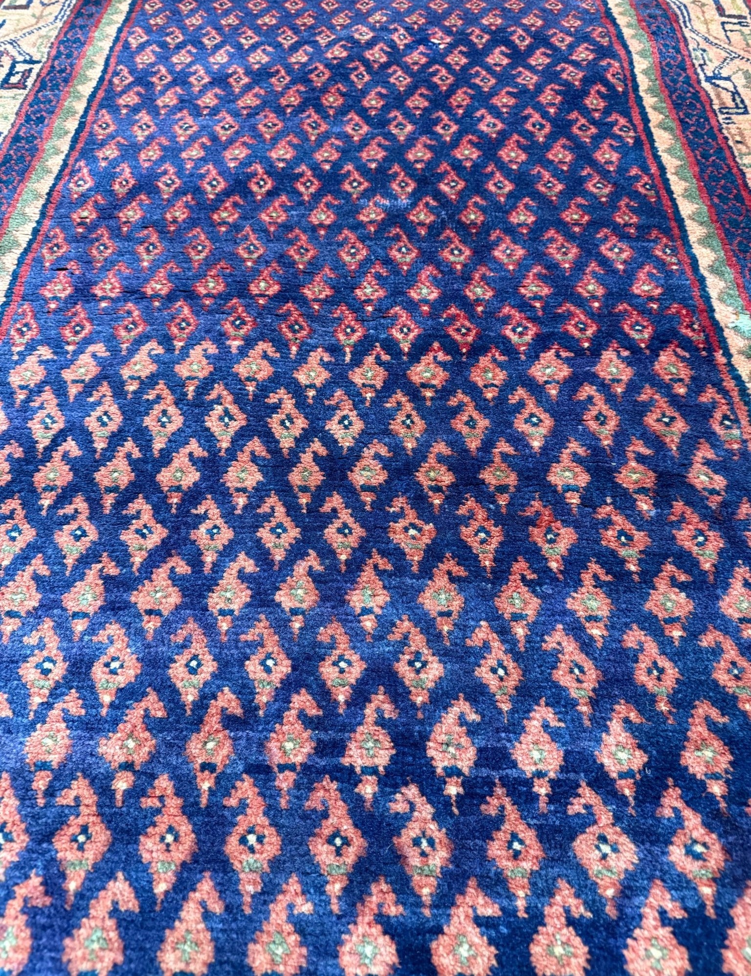 Vintage Arak Runner — Boteh Mir on a Dark Field with Red Borders. Original rug photograph; SKU RR30666; source IMG_7060.