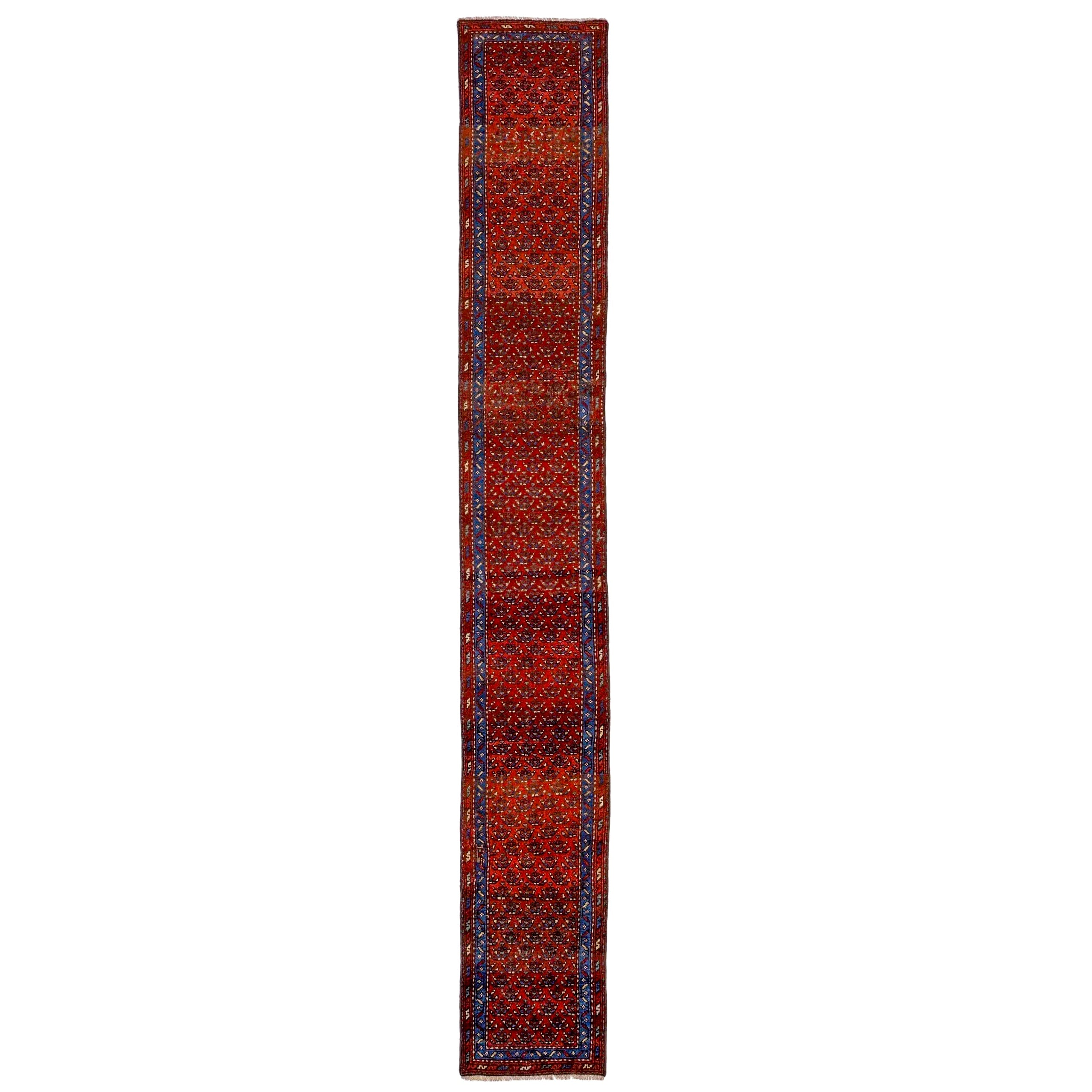 Vintage Malayer Runner | 1' 10" x 13' 6" — full rug view
