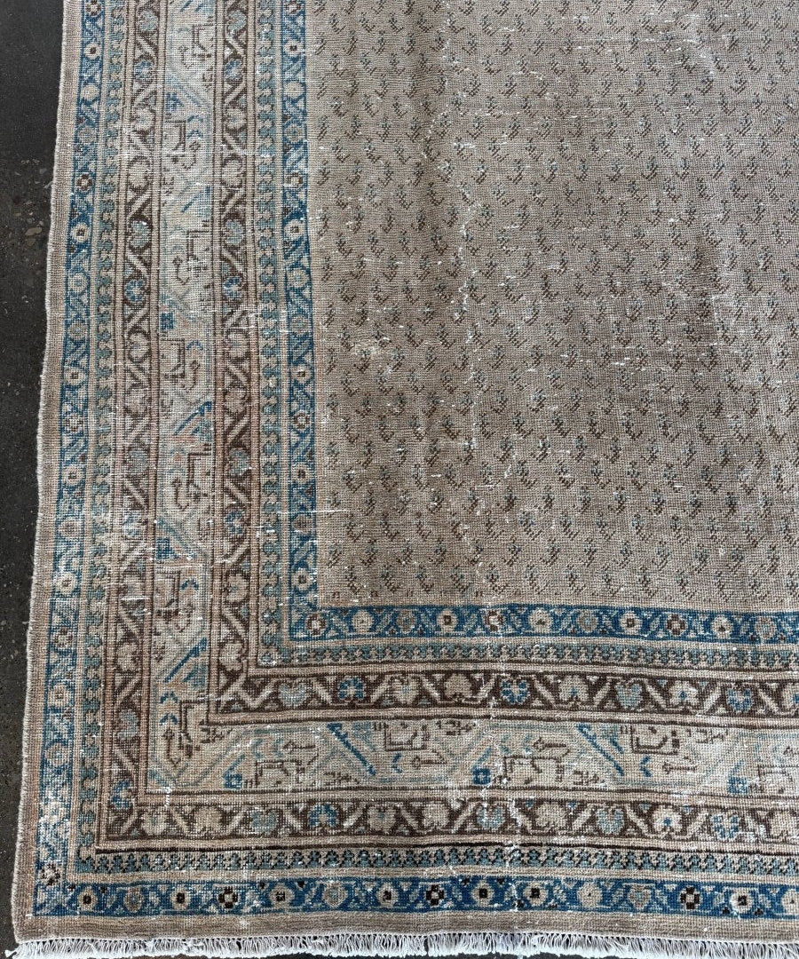 Vintage-style area rug with beige field and blue border medallion, fringed edges