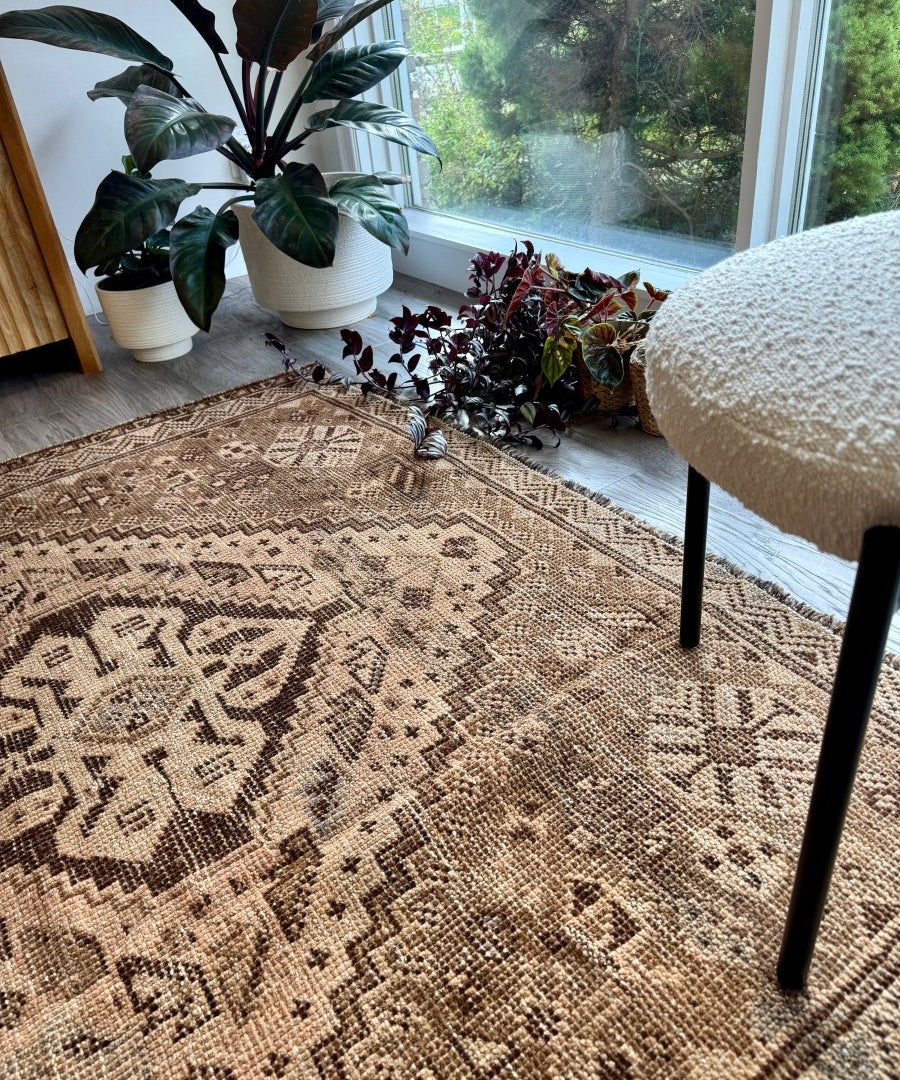 Vintage Shiraz rug close view with beige and brown patterned center and decorative border