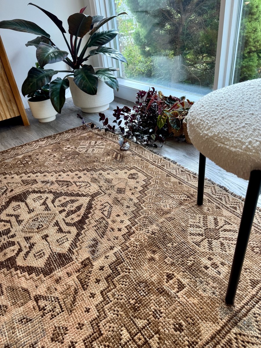 Vintage Shiraz Rug | 5' 7" x 7' 10" - Rug the Rock