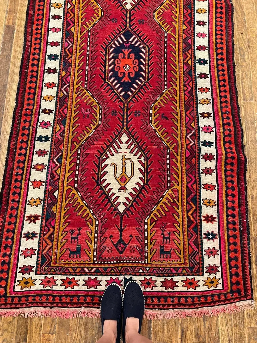 Persian Azerbaijan Soumak Runner | 3' 9" x 11' Rug the Rock
