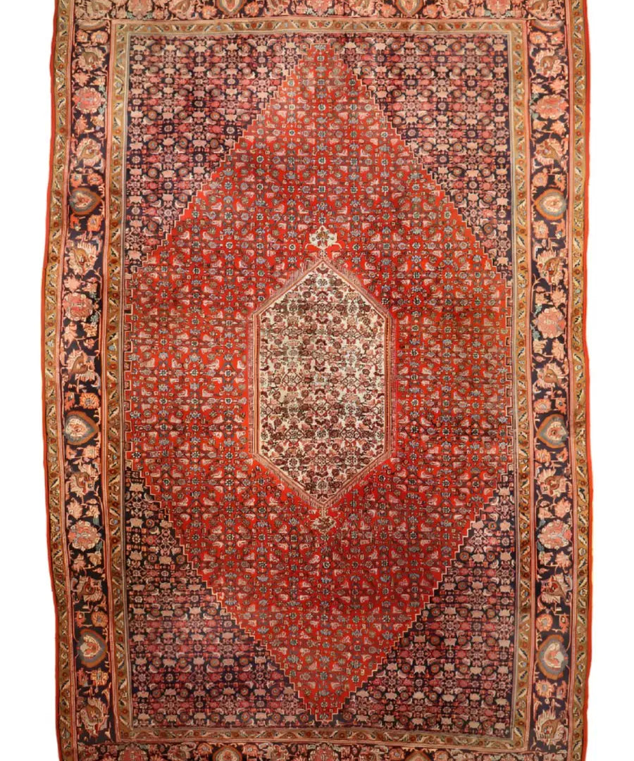 Persian Bidjar rug studio view, red field with cream medallion and ornate tan border