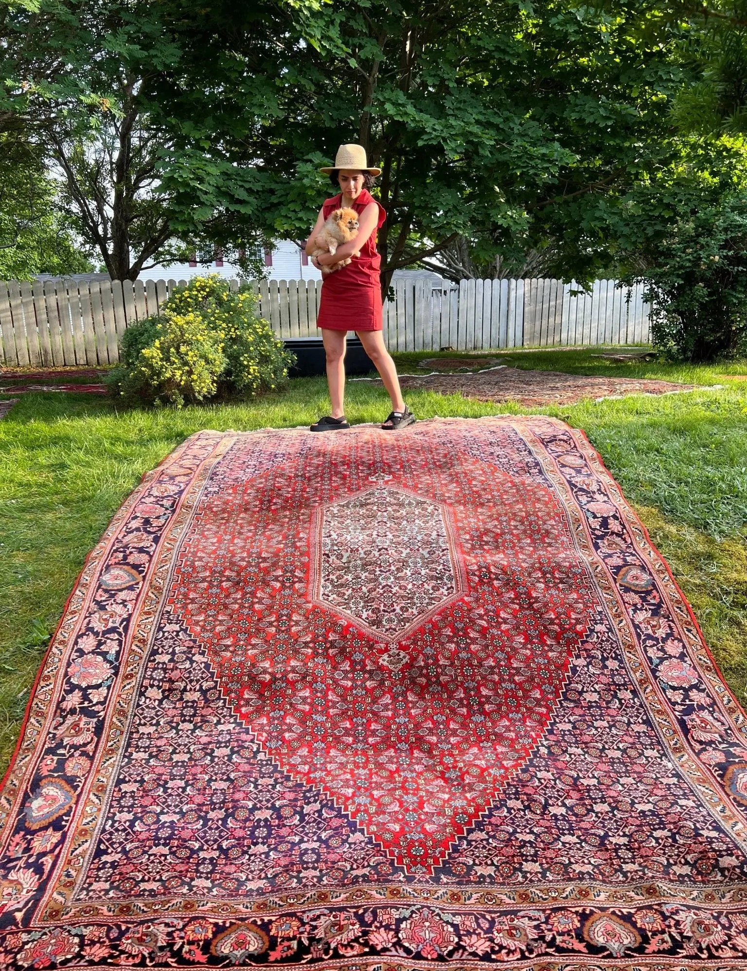 Persian Bidjar Rug | 7' 8" x 11' 8" Rug the Rock