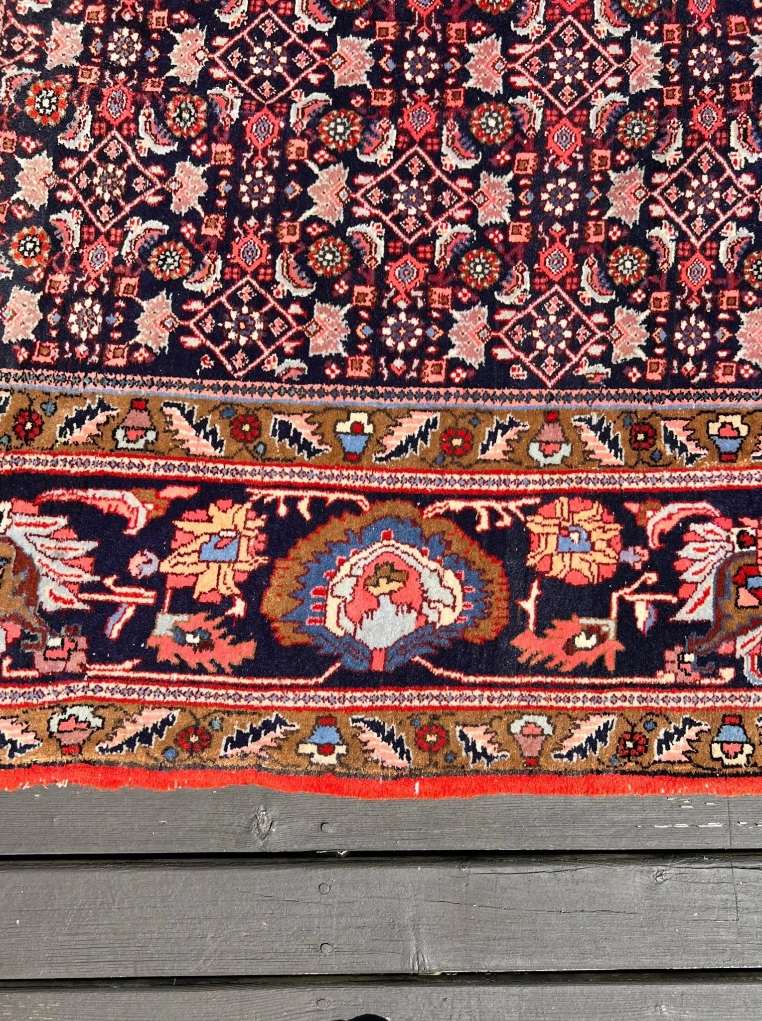Persian Bidjar Rug | 7' 8" x 11' 8" Rug the Rock