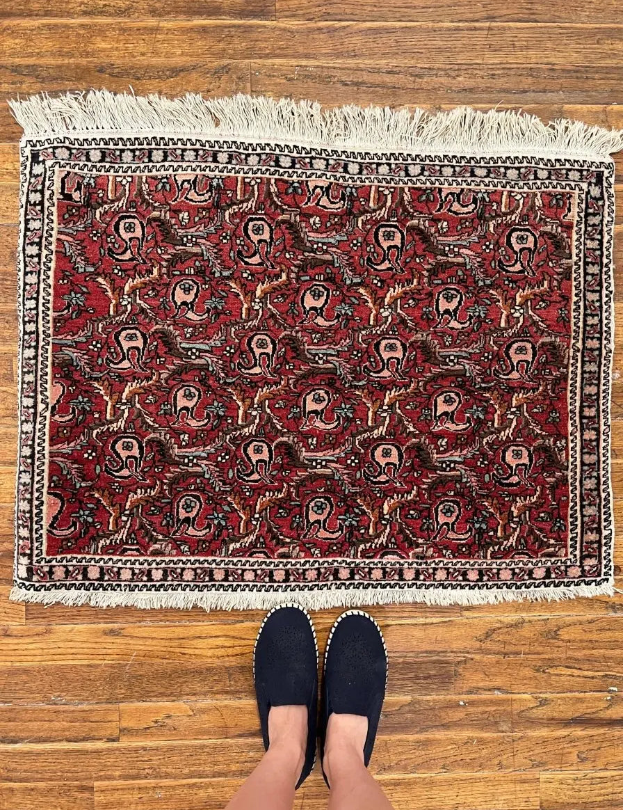 Persian Bijar Rug | 2' 2" x 2' 11" Rug the Rock