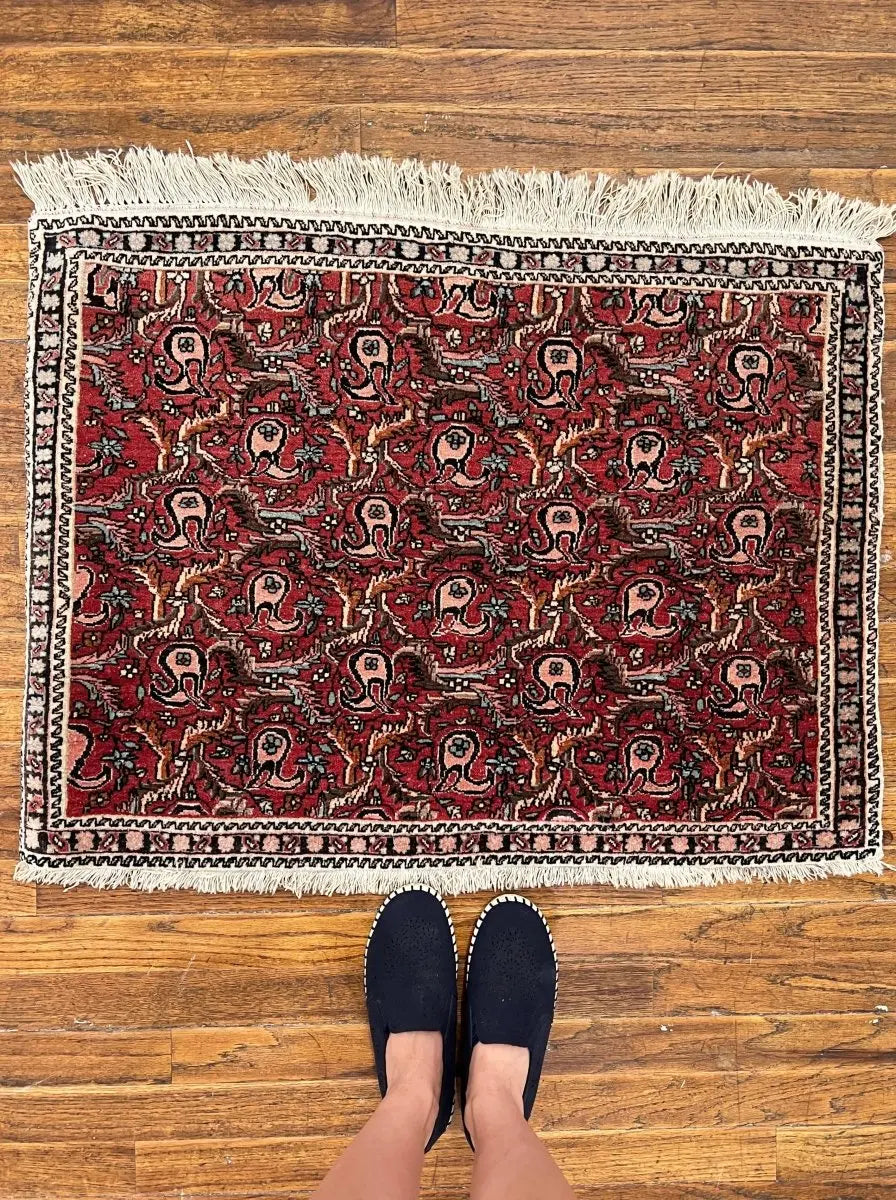 Persian Bijar Rug | 2' 2" x 2' 11" Rug the Rock