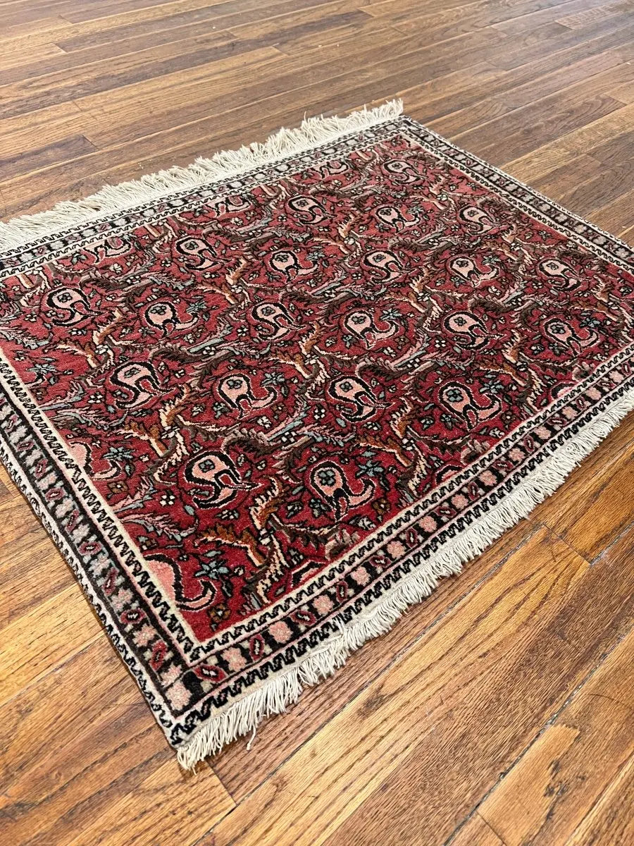 Persian Bijar Rug | 2' 2" x 2' 11" Rug the Rock
