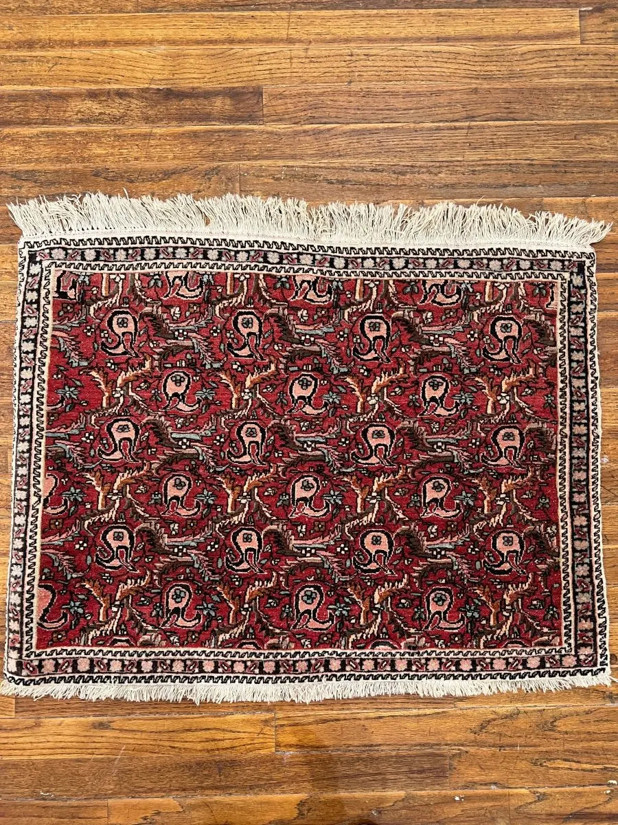 Persian Bijar Rug | 2' 2" x 2' 11" Rug the Rock