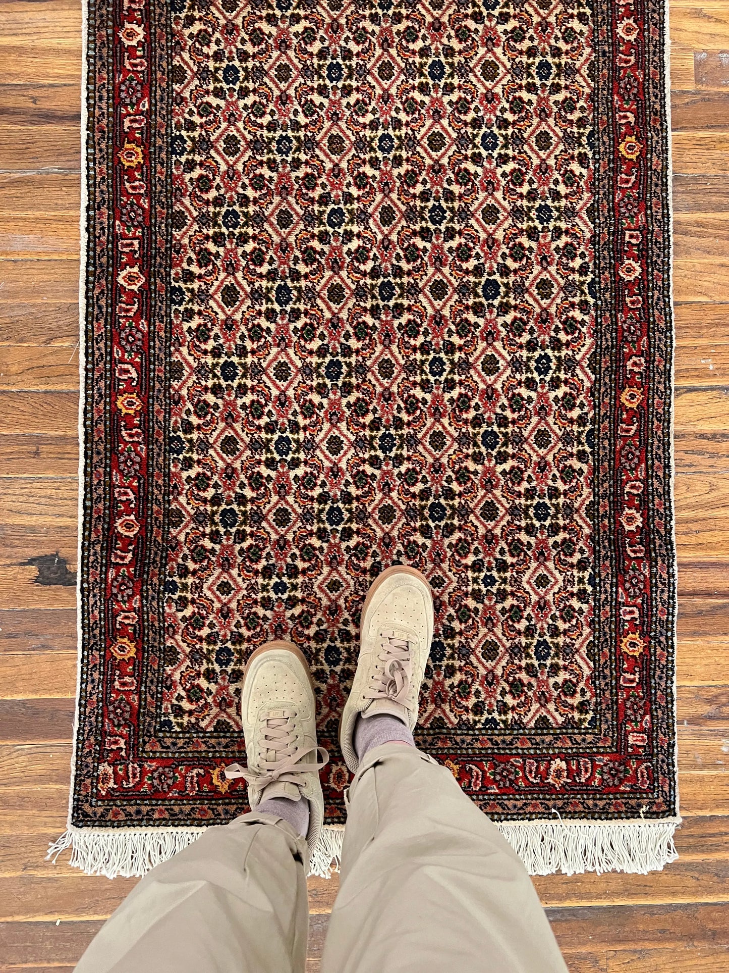 Persian Mood Runner | 12’6” x 2’7” Rug the Rock