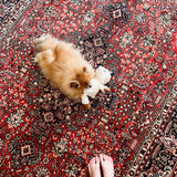 Persian Tabriz Azarshahr Rug | 9’ 8” x 6’ 4” Rug the Rock