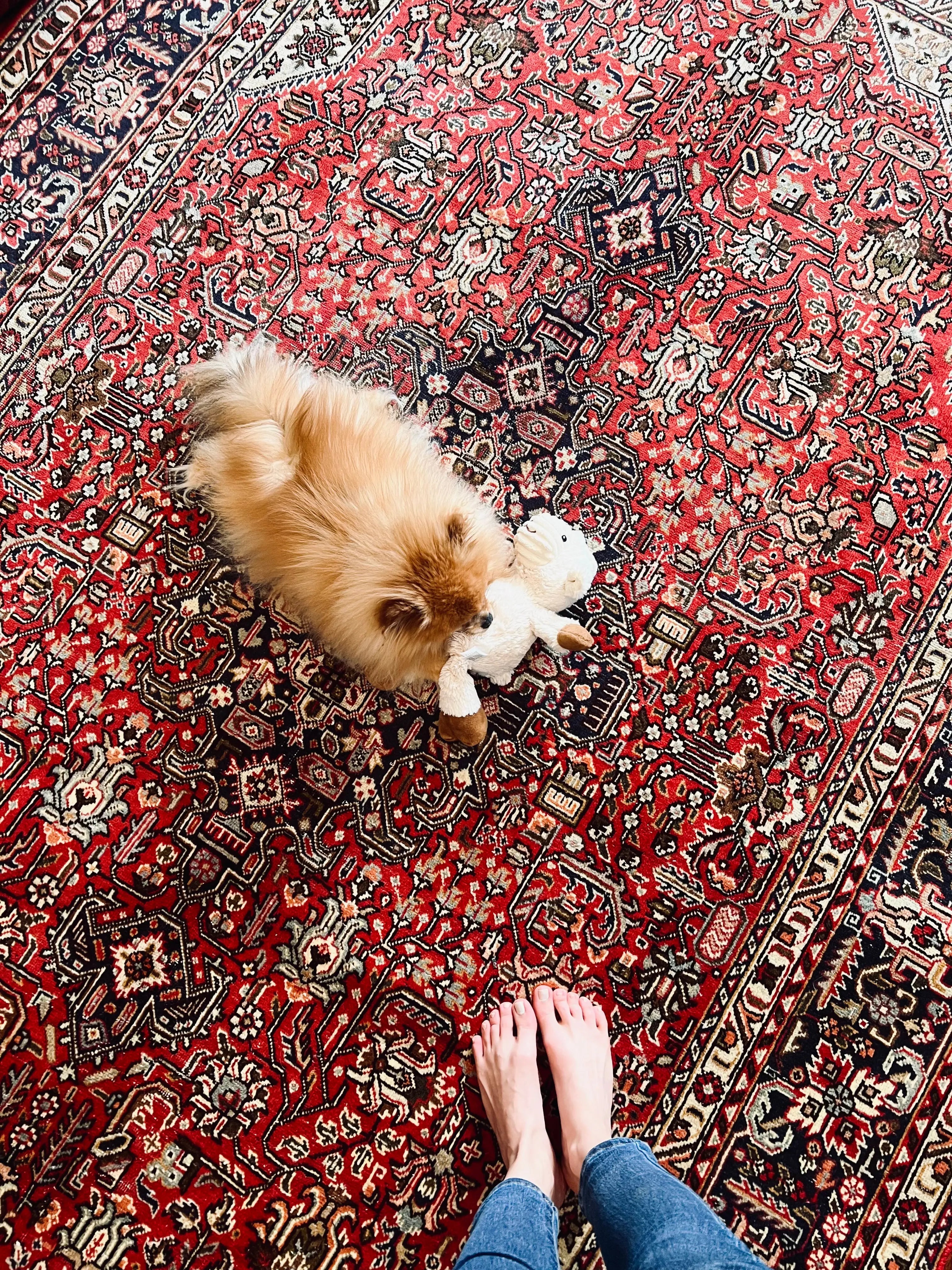 Persian Tabriz Azarshahr Rug | 9’ 8” x 6’ 4” Rug the Rock