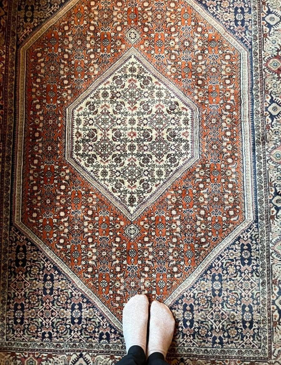 Bijar | 5' 7" x 3' 9" - Rug the Rock