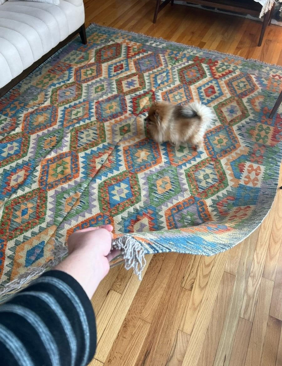 Maymana Kilim Rug | 9’ 6” x 6’ 10” - Rug the Rock