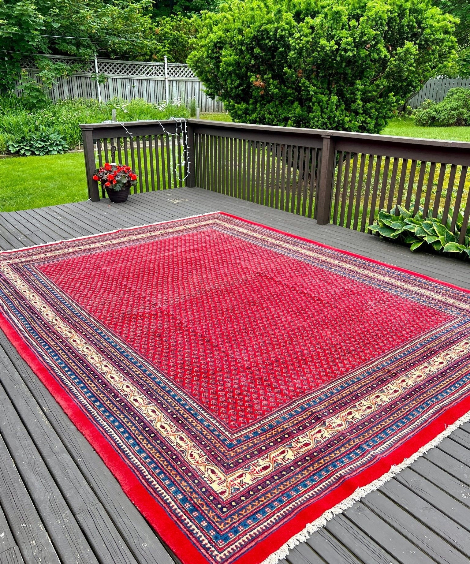 Persian Sarouk Mir rug, red with navy and cream diamond border, 12'3"x9'3"