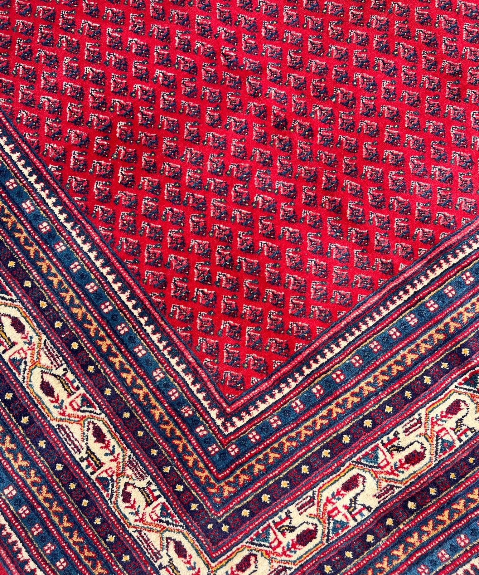 Persian Sarouk Mir rug close-up, red ground with navy frame and cream motifs