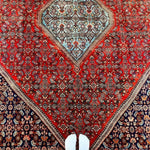 Persian Bidjar Rug | 10' 1" x 6' 11" - Rug the Rock