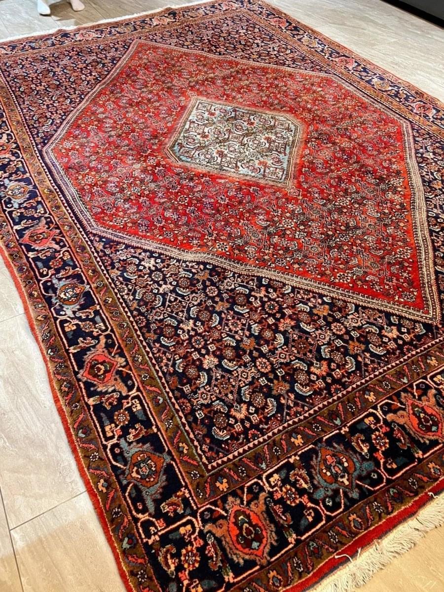 Persian Bidjar Rug | 10' 1" x 6' 11" - Rug the Rock