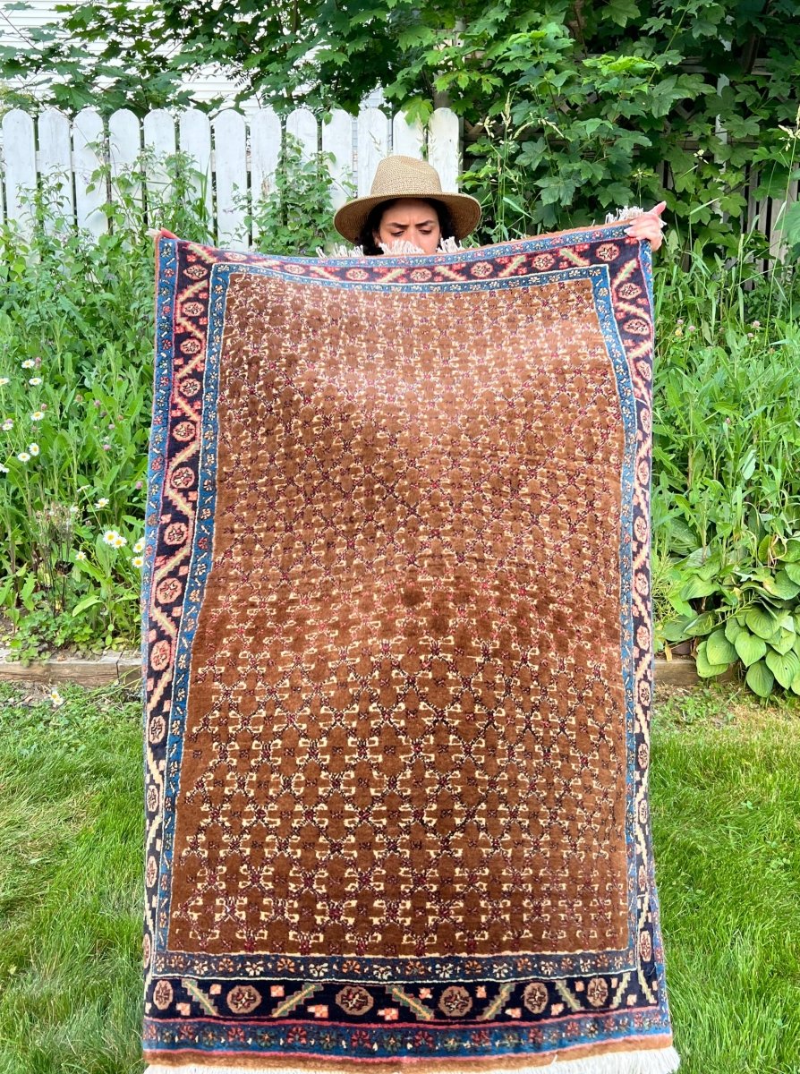 Persian Bidjar Rug | 3' 3" x 4' 9" Rug the Rock 