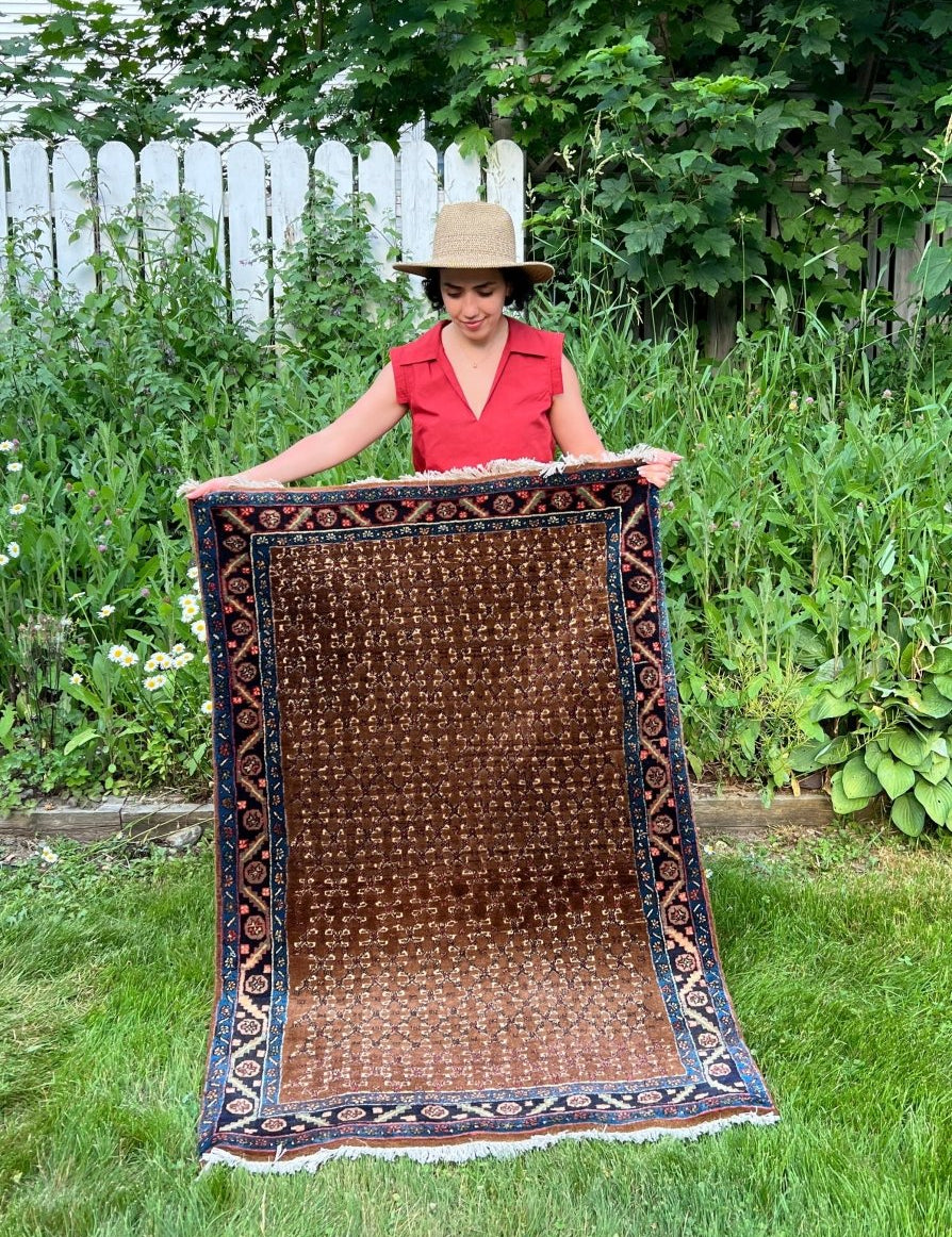 Persian Bidjar Rug | 3' 3" x 4' 9" Rug the Rock 