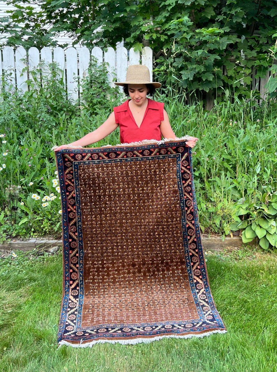 Persian Bidjar Rug | 3' 3" x 4' 9" Rug the Rock 