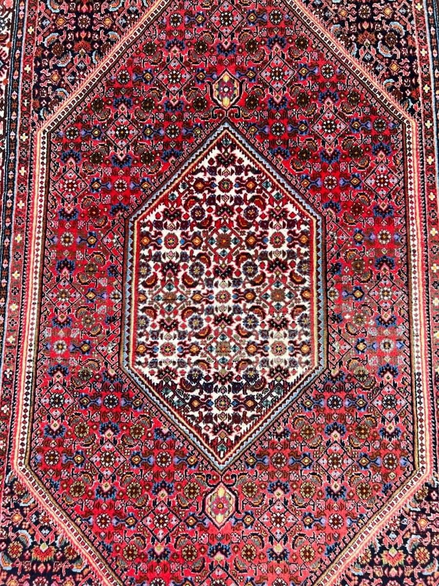 Persian Bidjar Rug | 6' 1" x 3' 7" - Rug the Rock