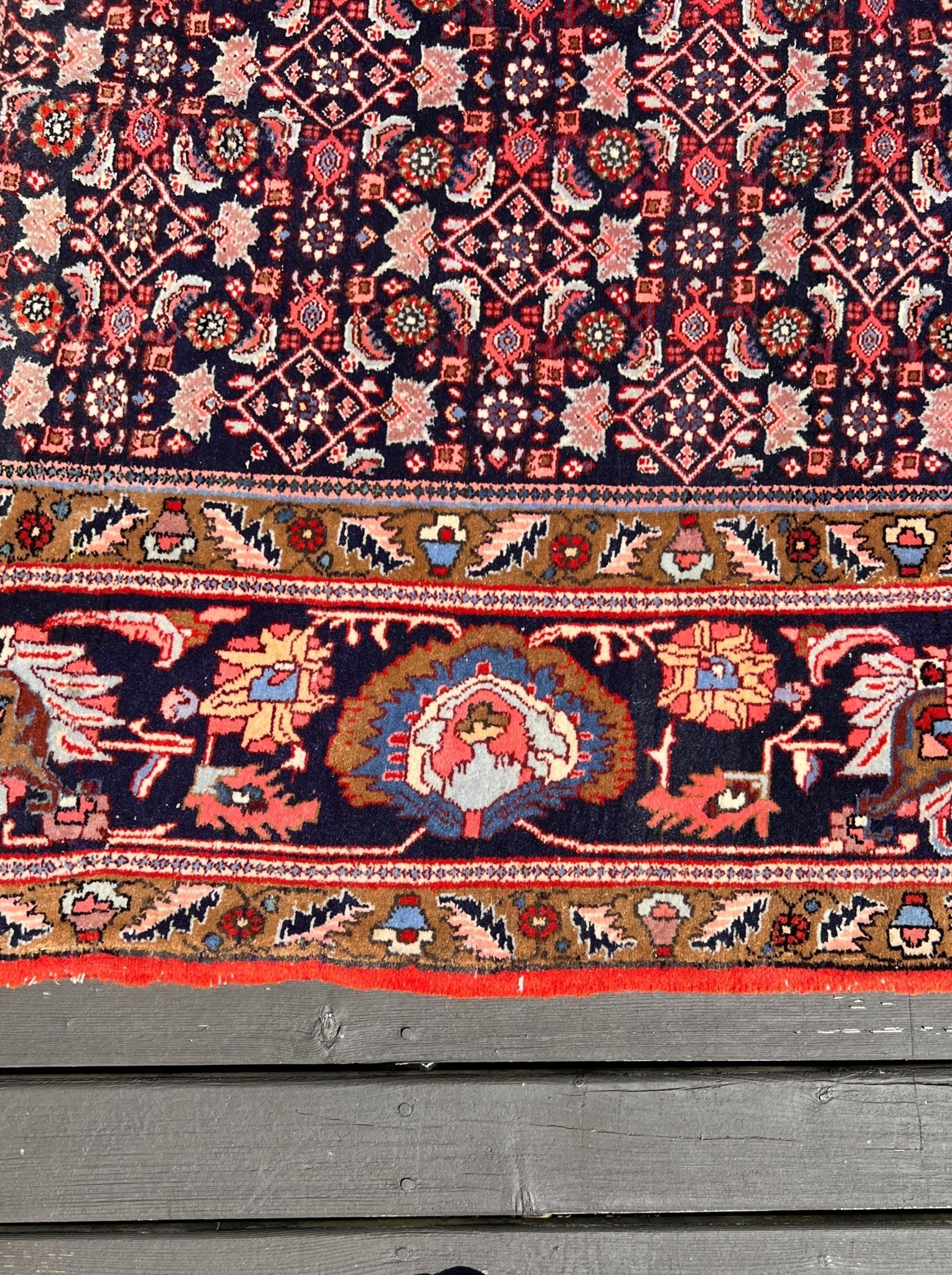 Persian Bidjar Rug | 7' 8" x 11' 8" Rug the Rock
