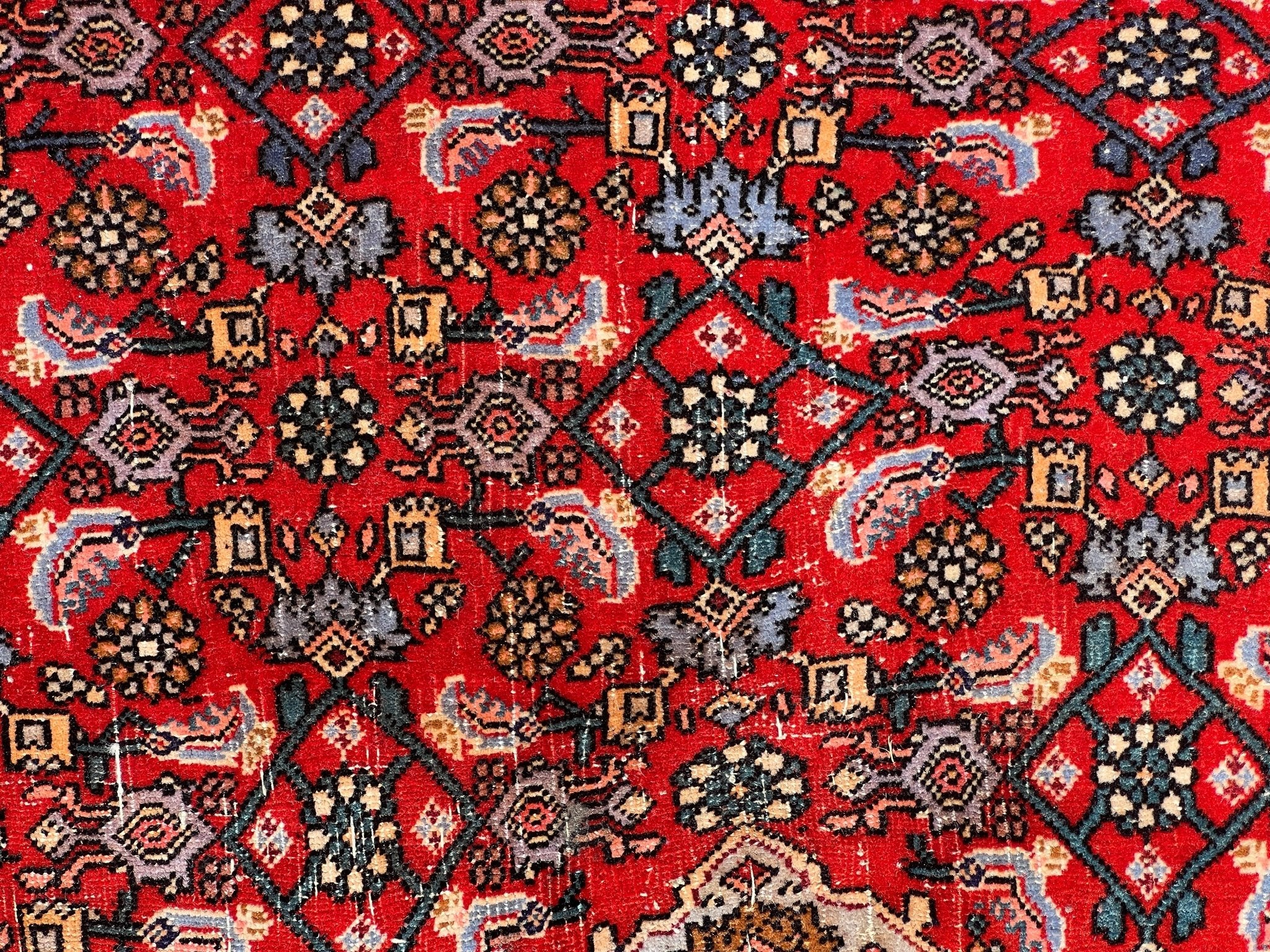 Persian Bidjar Rug | 7' 8" x 11' 8" Rug the Rock