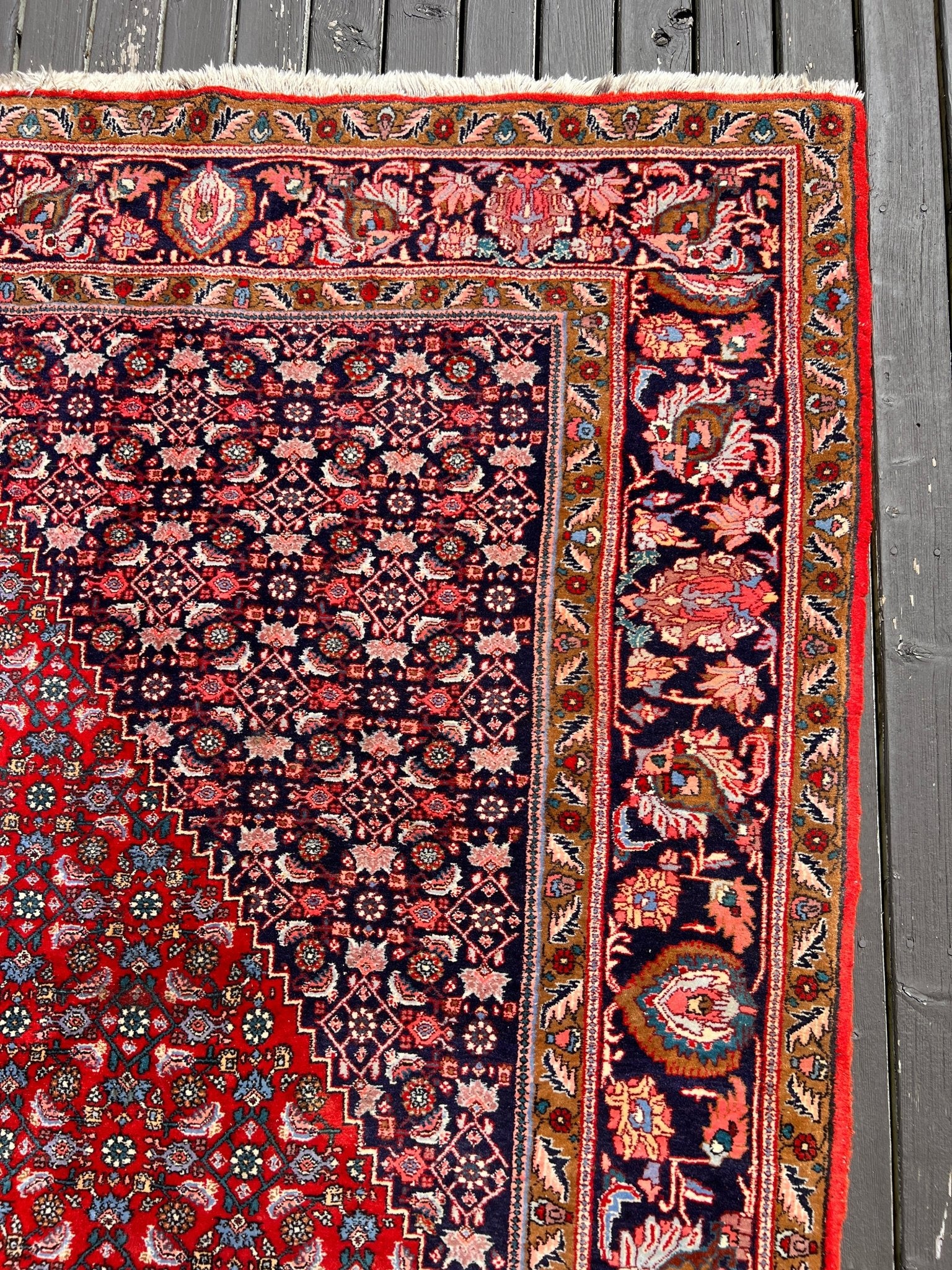 Persian Bidjar Rug | 7' 8" x 11' 8" Rug the Rock