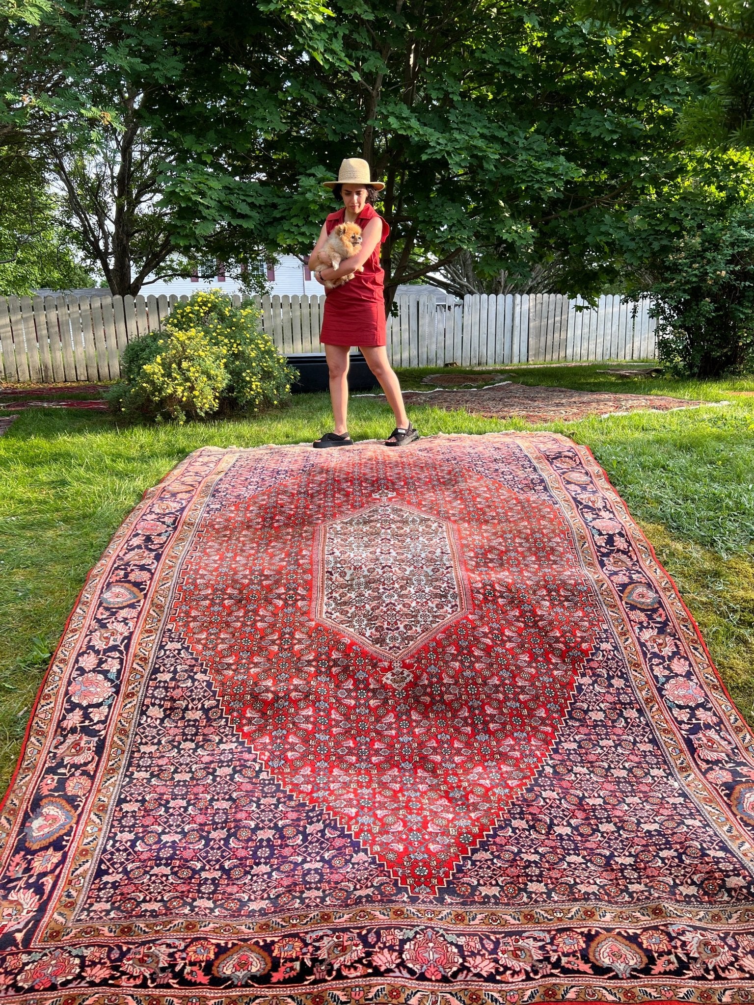 Persian Bidjar Rug | 7' 8" x 11' 8" Rug the Rock