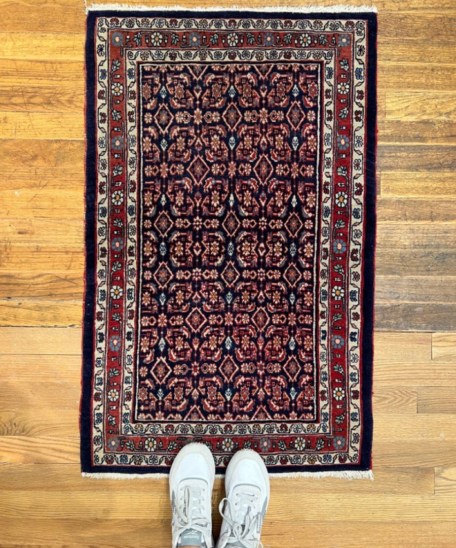 Bijar rug with navy field, red border, ivory trim, geometric floral pattern