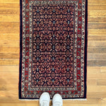 Persian Bijar Rug | 2' 2" x 3' 4" Rug the Rock 
