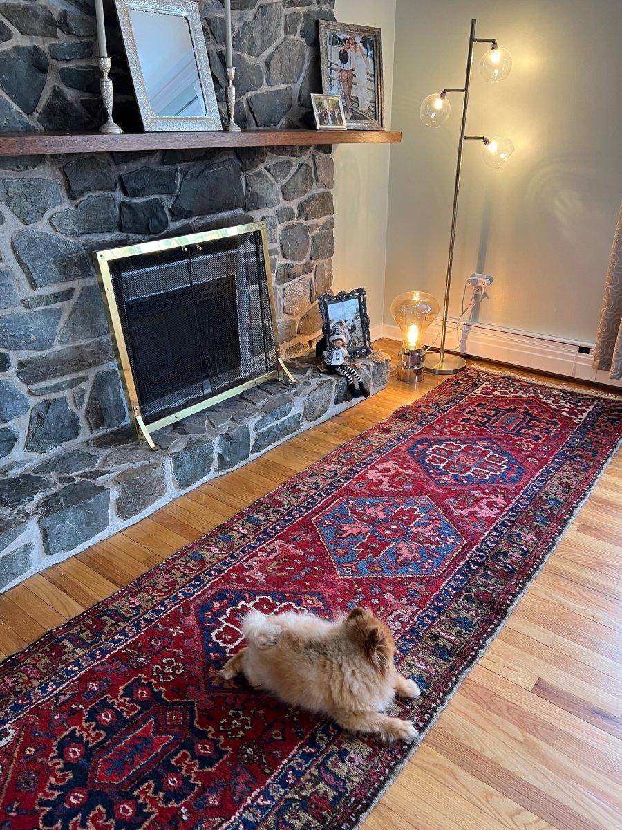 Persian Meshkin Runner | 10' 9" x 3' 2" Rug the Rock