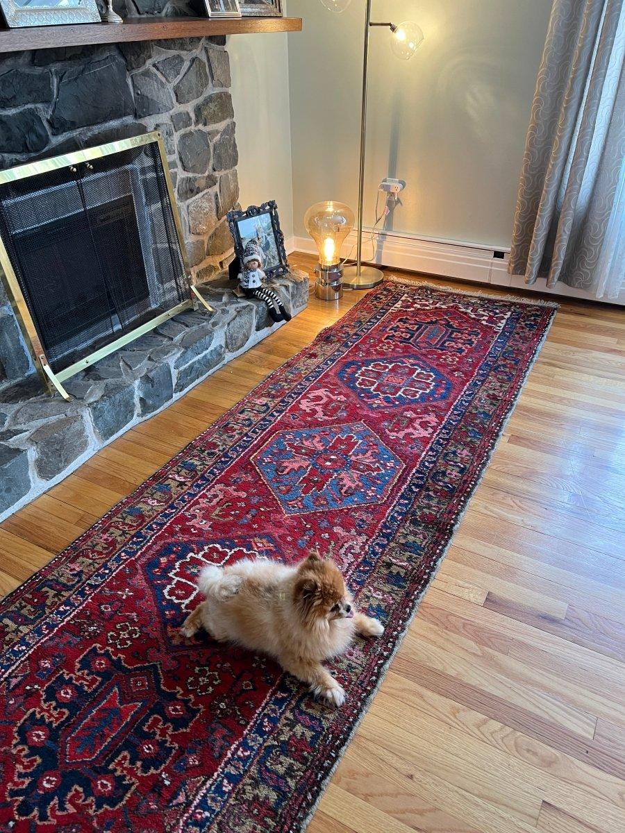 Persian Meshkin Runner | 10' 9" x 3' 2" Rug the Rock
