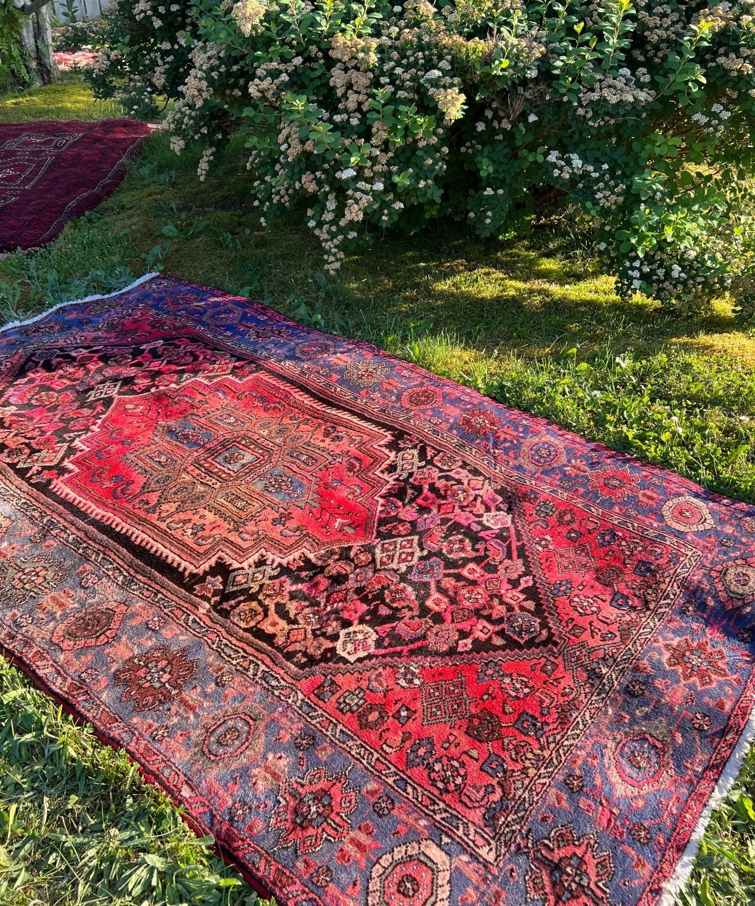 Red and blue Persian rug with ornate border and diamond medallion pattern