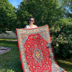 Persian Sarouk Rug | 3' 7" x 5' 5" Rug the Rock 