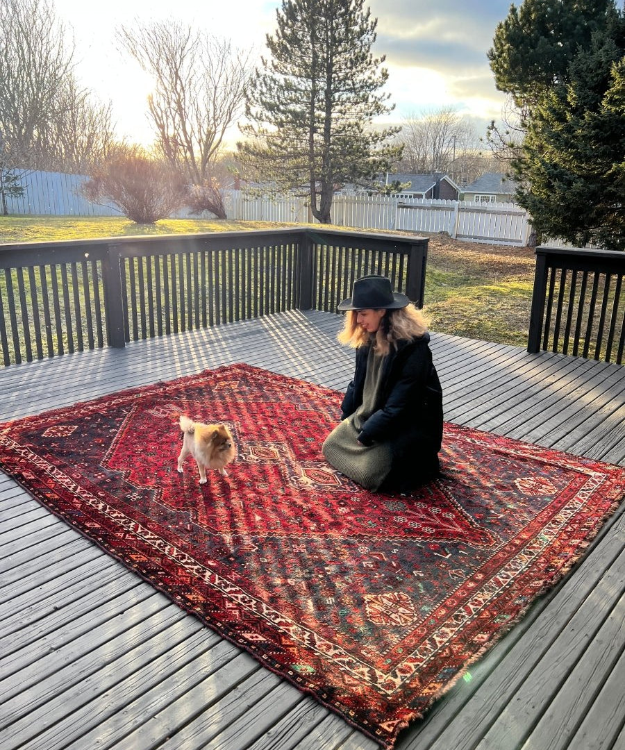 Persian Shiraz rug with red medallion and border, multicolor tribal patterns