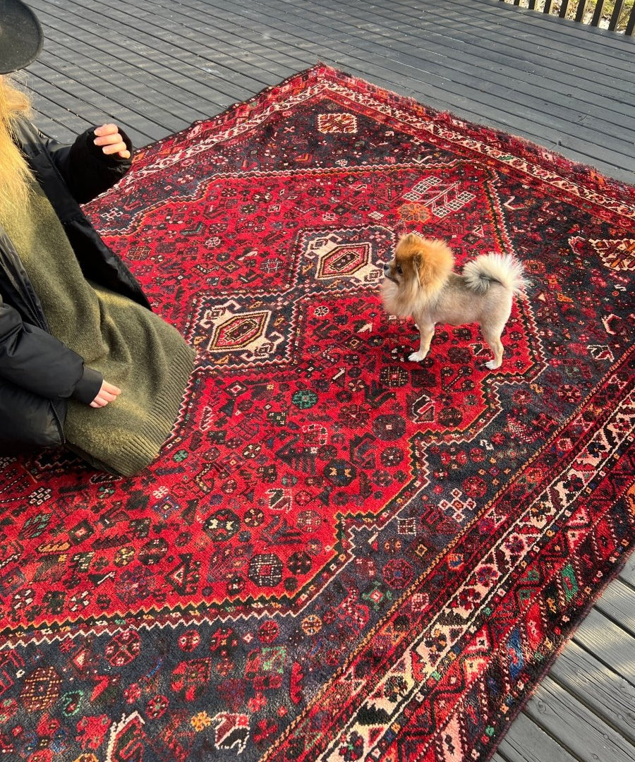 Persian Shiraz rug, wide view with red field and navy geometric motifs