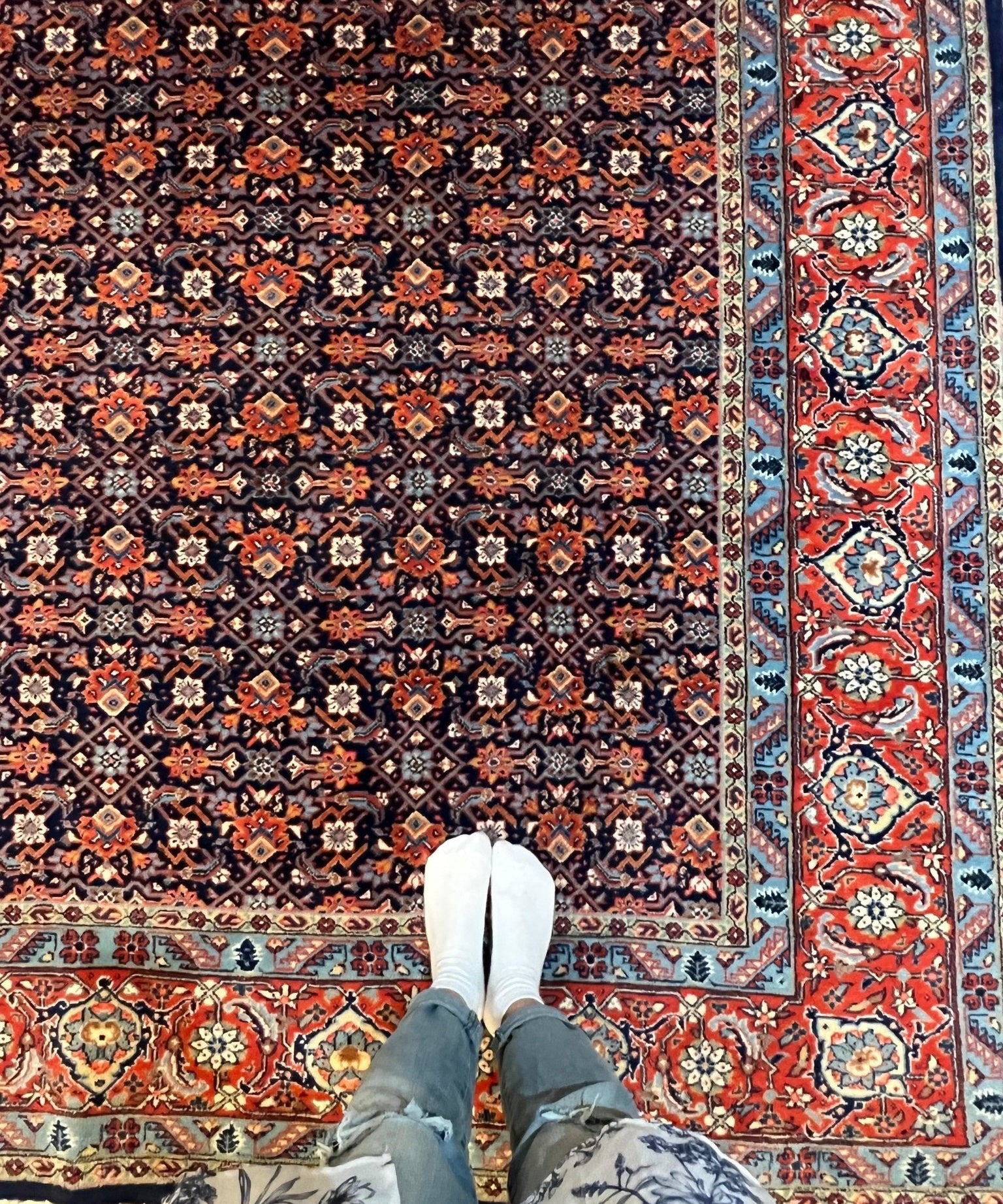 Persian Sarouk rug with dark navy geometric medallions and red-blue border