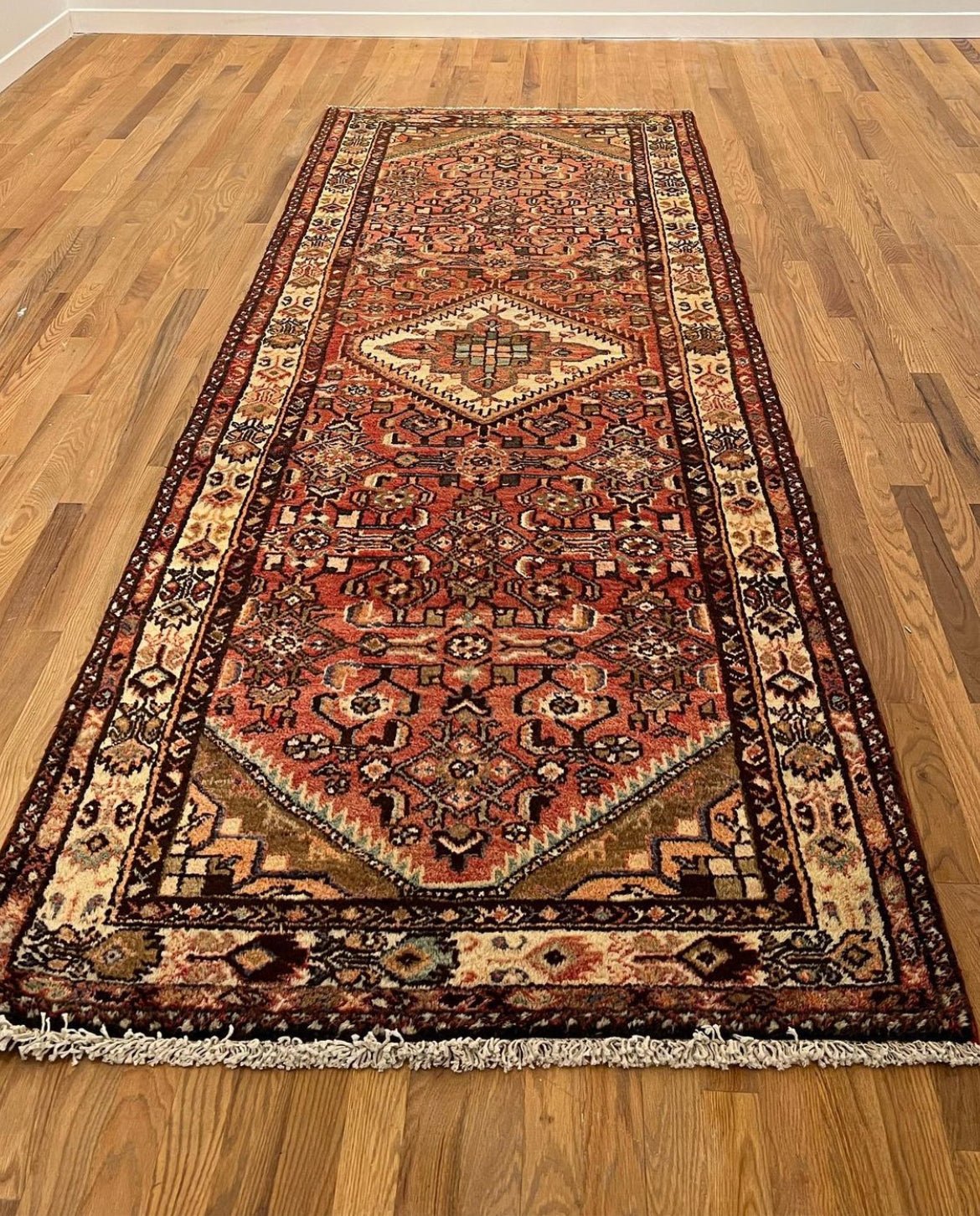 Vintage Hamadan Runner | 9' 8" x 3' 5" Rug the Rock